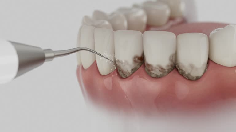 Reliable Dental contractor in Fair Plain, MI by Dentist Open Now